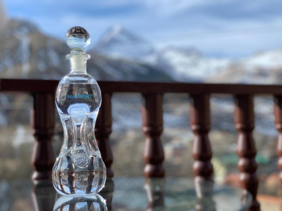 Come & Rest Казбеги Экстерьер фото